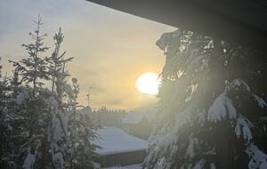Mountain Forest Retreat Near Whistler Village - Whistler, Canada