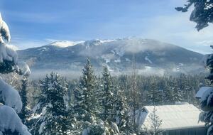 Mountain Forest Retreat Near Whistler Village - Whistler, Canada