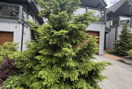 Mountain Forest Retreat Near Whistler Village - Whistler, Canada