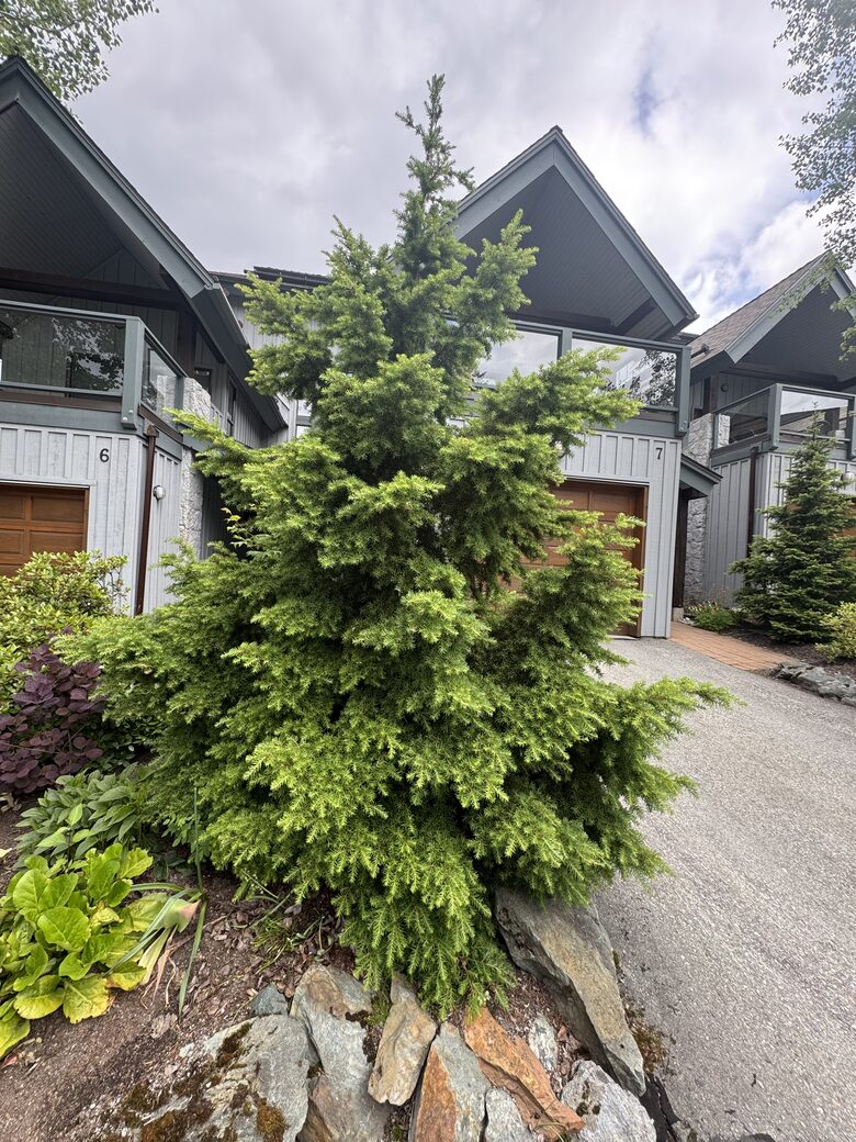 Mountain Forest Retreat Near Whistler Village - Whistler, Canada