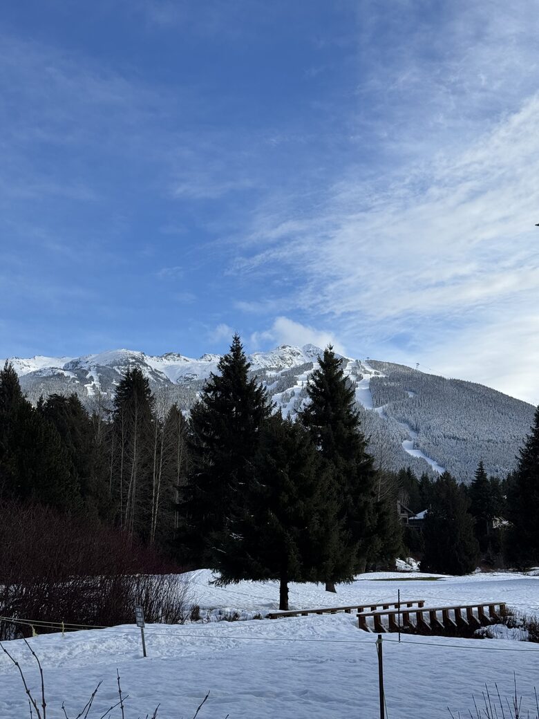Mountain Forest Retreat Near Whistler Village - Whistler, Canada