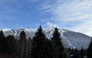 Mountain Forest Retreat Near Whistler Village - Whistler, Canada