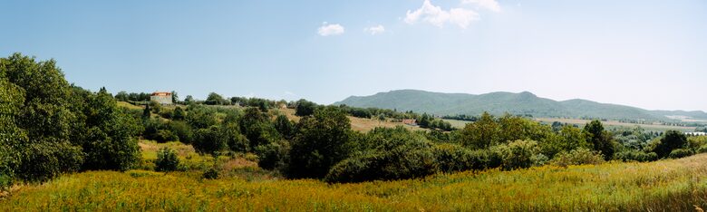 Elegance Amidst Vineyards and Blooms - Zalaszántó, Hungary