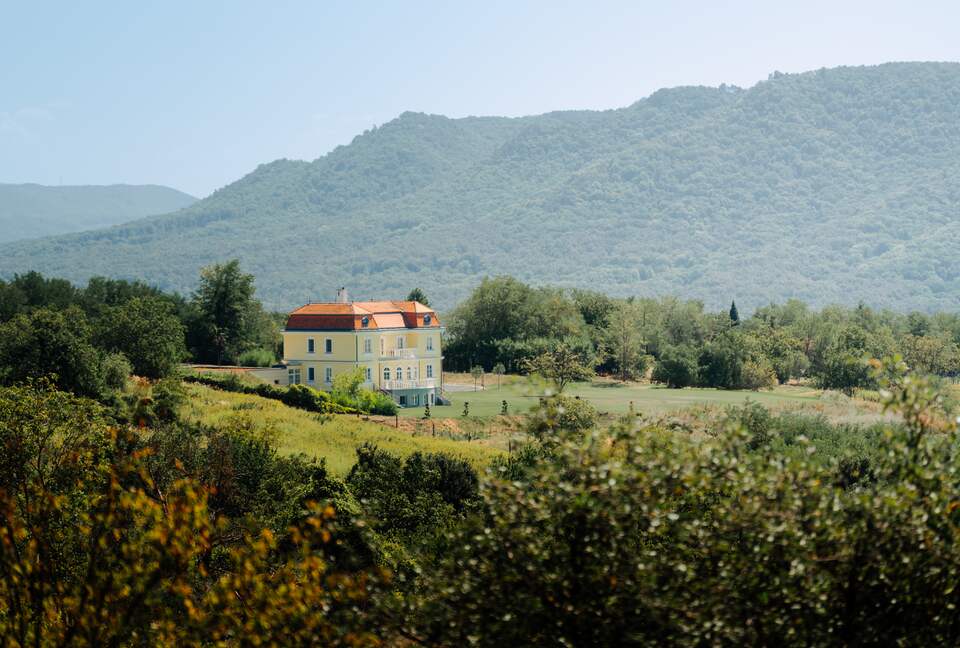 Elegance Amidst Vineyards and Blooms - Zalaszántó, Hungary