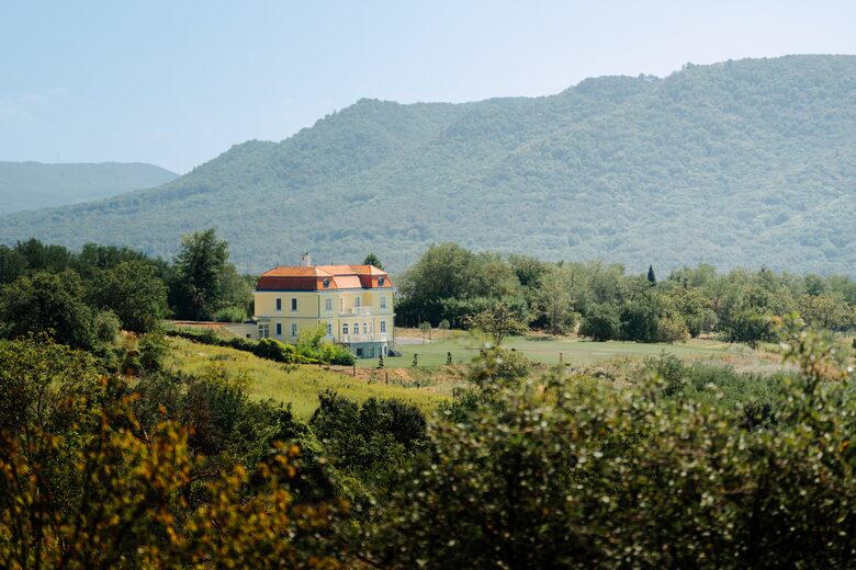 Elegance Amidst Vineyards and Blooms - Zalaszántó, Hungary