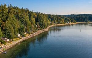 Fern Cove Waterfront Escape on Vashon Island - Vashon, Washington