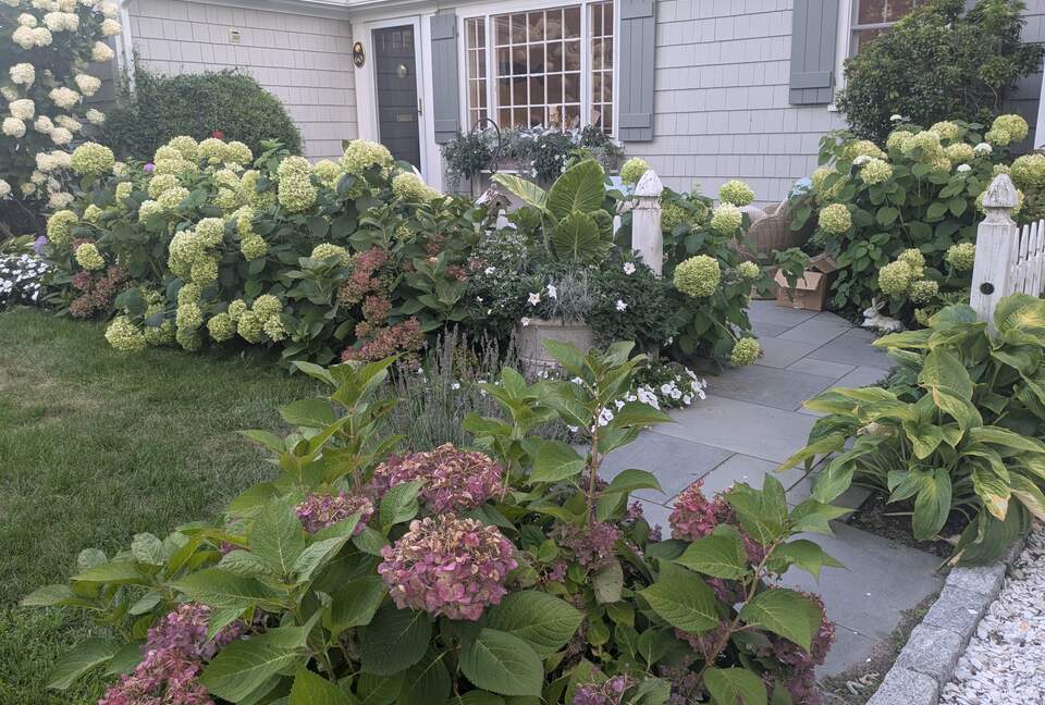 hydrangea cottage