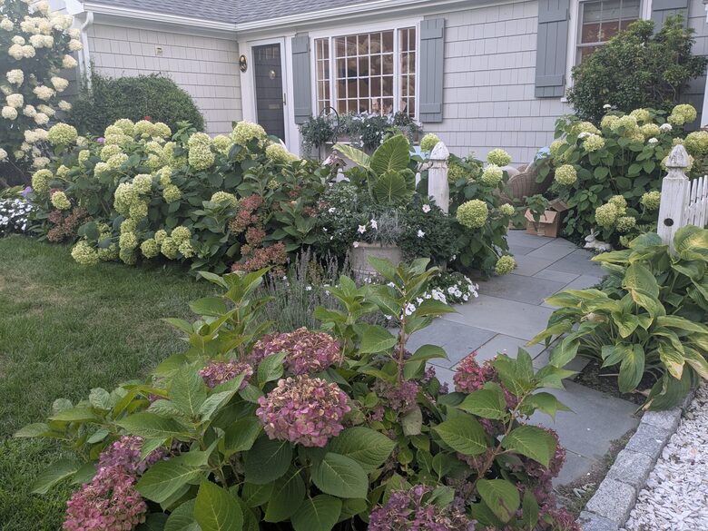 hydrangea cottage