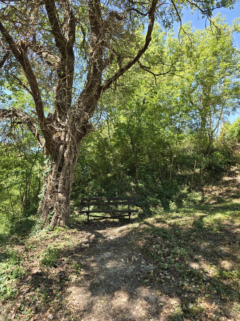 The Historic Mill Estate - Civitella Di Romagna, Italy