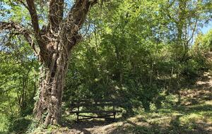 The Historic Mill Estate - Civitella Di Romagna, Italy