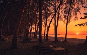 Anantara Vacation Club at Avani+ Khao Lak - Two Bedroom Deluxe Suite - Khao Lak, Thailand