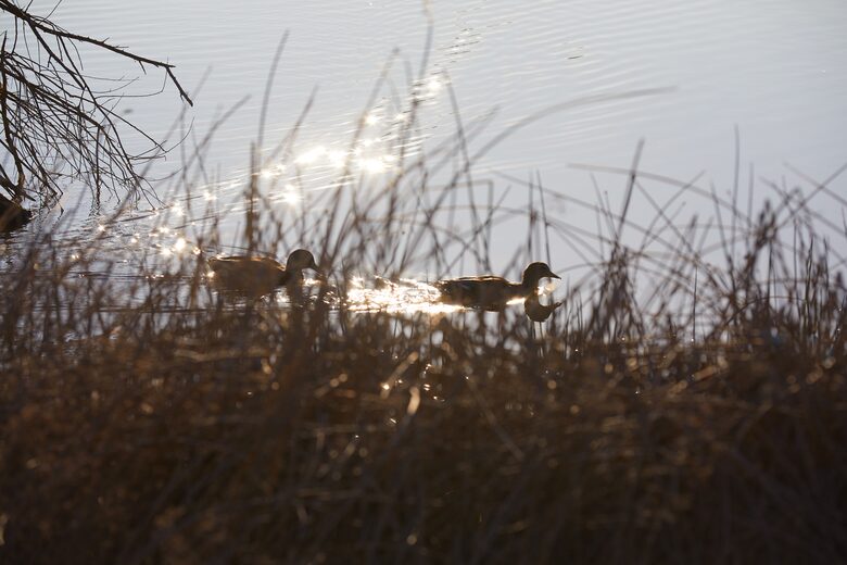 Quiet Northern California Getaway with Hilltop Views - Vacaville, California