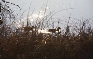 Quiet Northern California Getaway with Hilltop Views - Vacaville, California