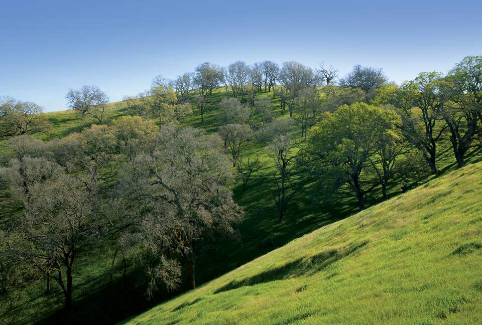 Quiet Northern California Getaway with Hilltop Views - Vacaville, California