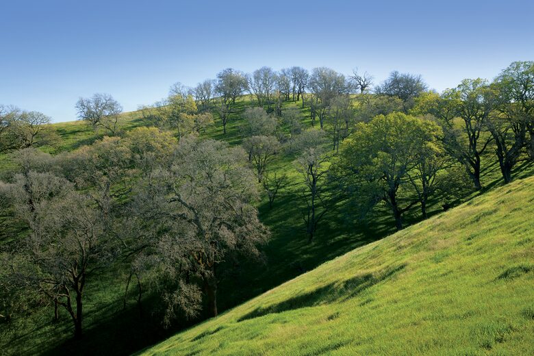 Quiet Northern California Getaway with Hilltop Views - Vacaville, California