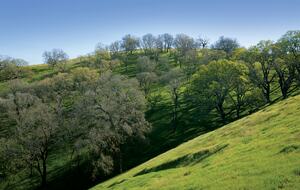 Quiet Northern California Getaway with Hilltop Views - Vacaville, California