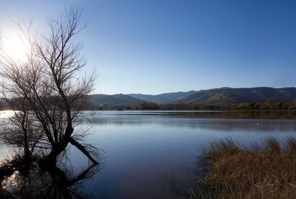 Quiet Northern California Getaway with Hilltop Views - Vacaville, California