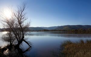 Quiet Northern California Getaway with Hilltop Views - Vacaville, California