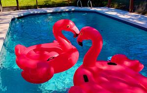Vero Beach Private Pool Hideaway - Vero Beach, Florida