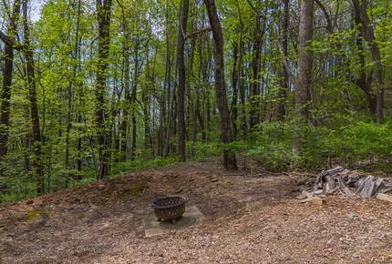 Peaceful Forest Escape Near Lake Lure & Tryon - Columbus, North Carolina