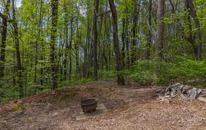 Peaceful Forest Escape Near Lake Lure & Tryon - Columbus, North Carolina