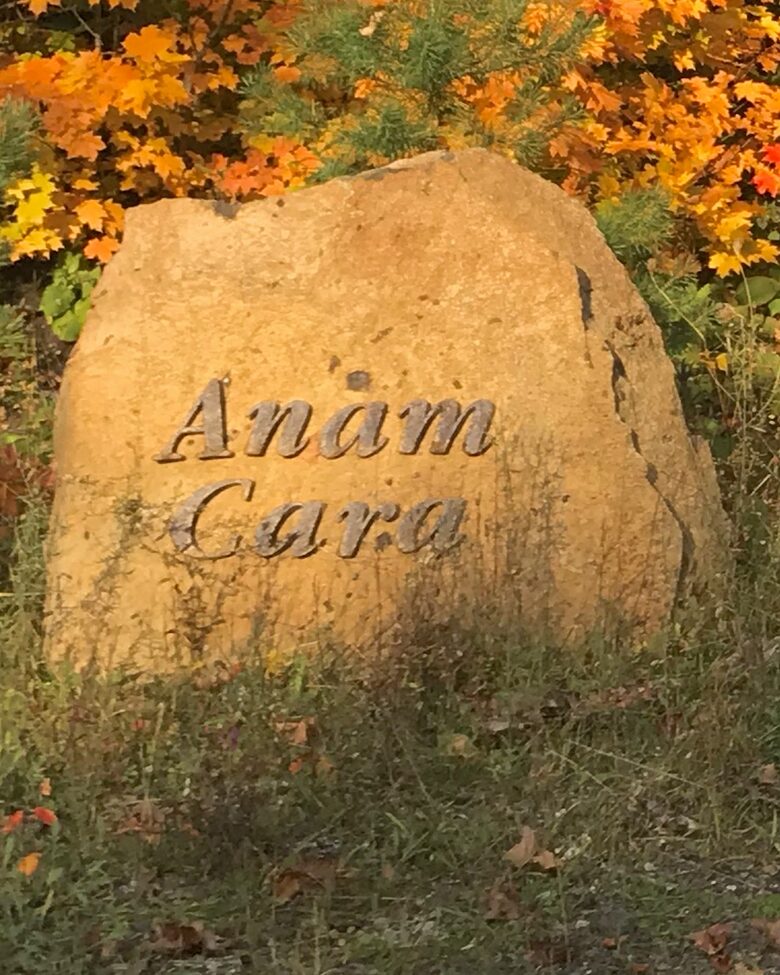 Anam Cara = Soul Friend in gaelic.