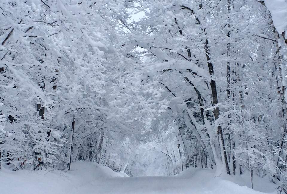 The magic of US Highway 41 in winter