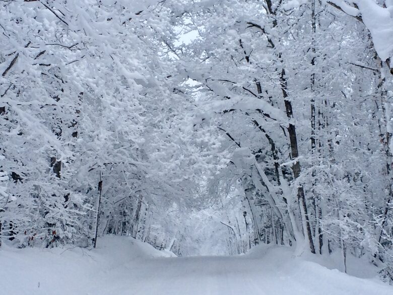 The magic of US Highway 41 in winter