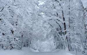The magic of US Highway 41 in winter