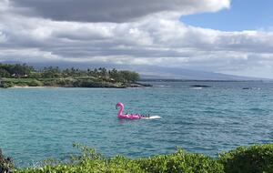 Ocean & Golf View Retreat at Mauna Kea Resort - Kamuela, Hawaii