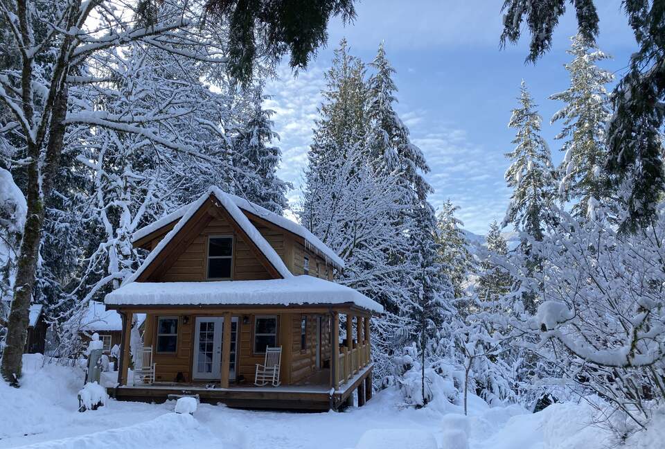 Cozy Mt. Baker Cabin with Forest & Mountain Views - Deming, Washington