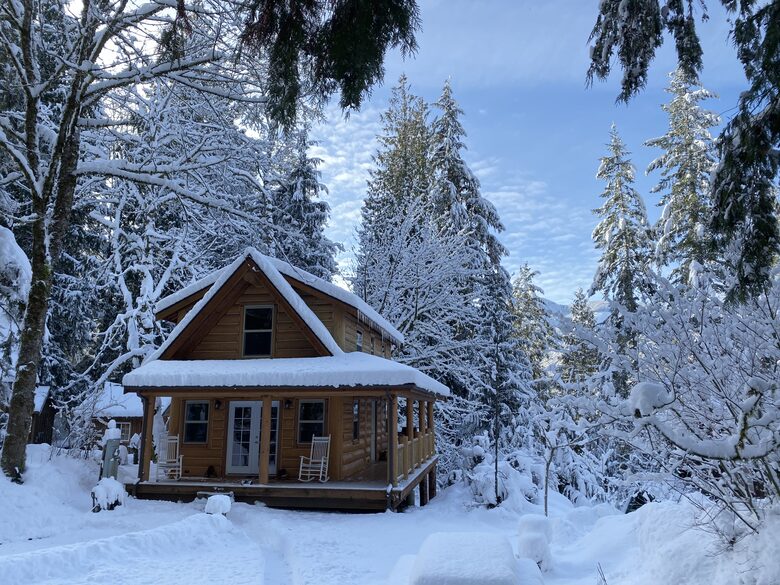 Cozy Mt. Baker Cabin with Forest & Mountain Views - Deming, Washington