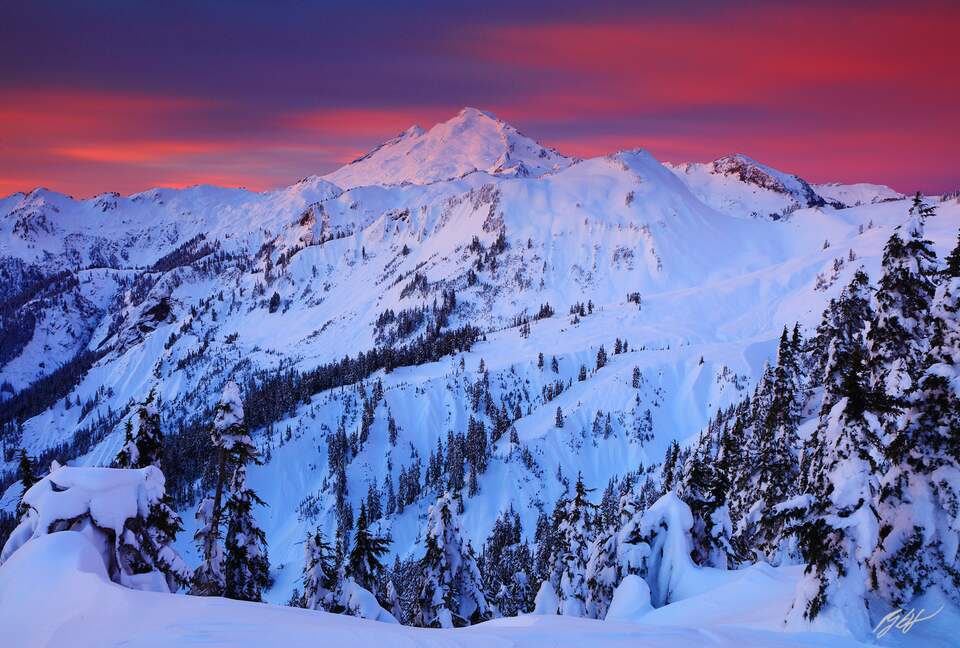 Cozy Mt. Baker Cabin with Forest & Mountain Views - Deming, Washington