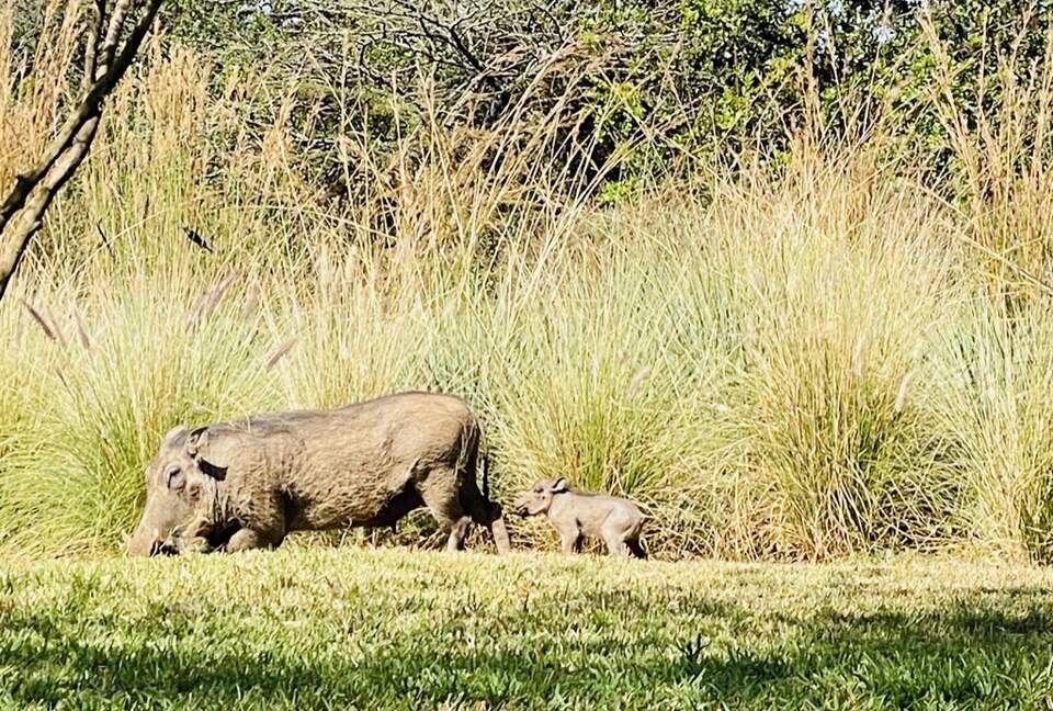 Nairobi Retreat - Nairobi, Kenya