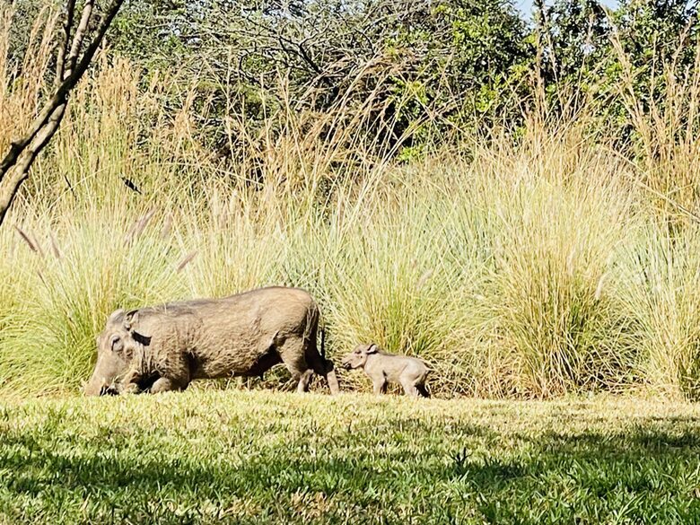 Nairobi Retreat - Nairobi, Kenya