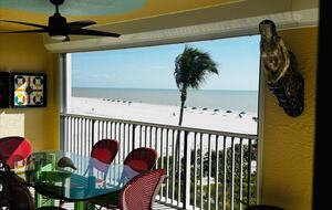 Newly updated beach front condo on the best shelling beach in Florida - Sanibel, Florida
