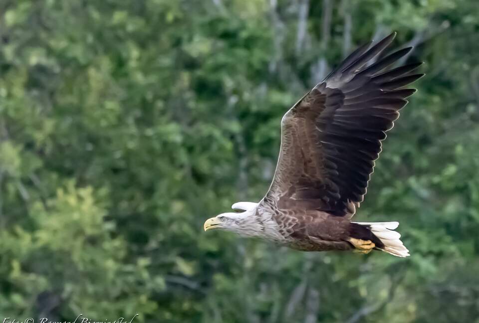 Casa Argentina Lodge - Fiskå, Norway