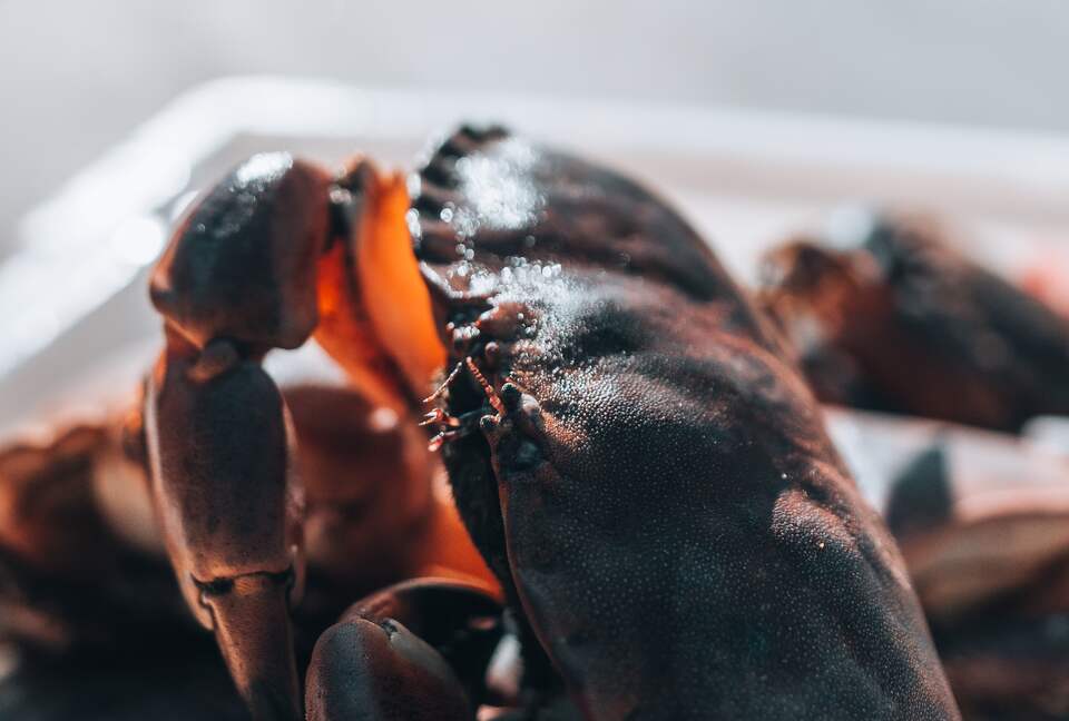 Casa Argentina Lodge - Fiskå, Norway