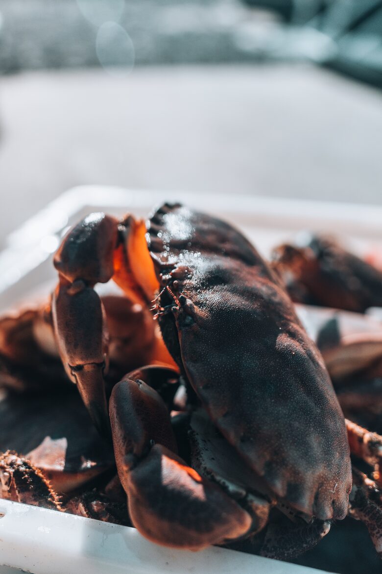 Casa Argentina Lodge - Fiskå, Norway