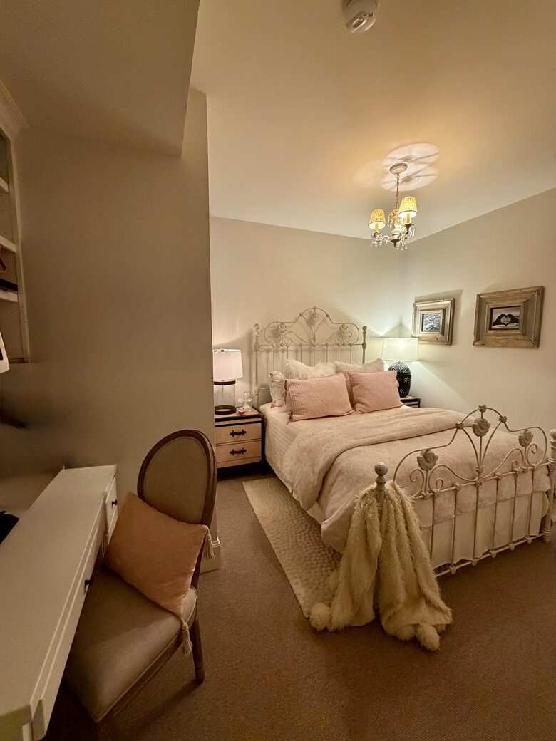 Lower Level Bedroom with Queen Bed & Walk In Closet