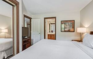 Blackcomb Mountain Ski-In Ski-Out Family Retreat - Whistler, Canada