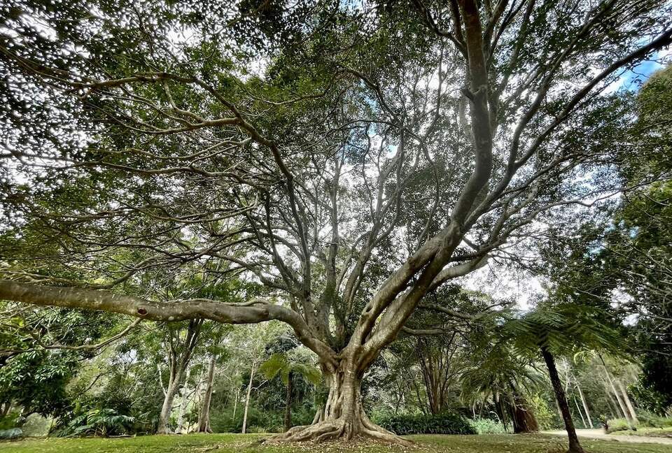 Historic Coastal Farmhouse with Private Jetty Minutes to the Beach - Way Way, Australia