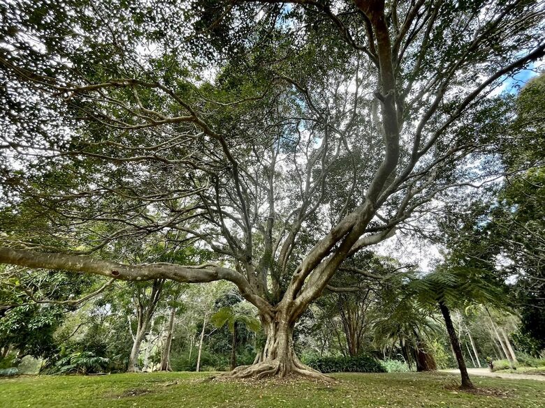 Historic Coastal Farmhouse with Private Jetty Minutes to the Beach - Way Way, Australia