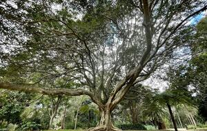 Historic Coastal Farmhouse with Private Jetty Minutes to the Beach - Way Way, Australia