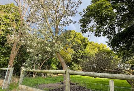 Vintage Coastal Escape Above Port Phillip Bay - Mount Martha, Australia