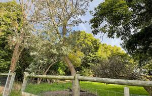 Vintage Coastal Escape Above Port Phillip Bay - Mount Martha, Australia