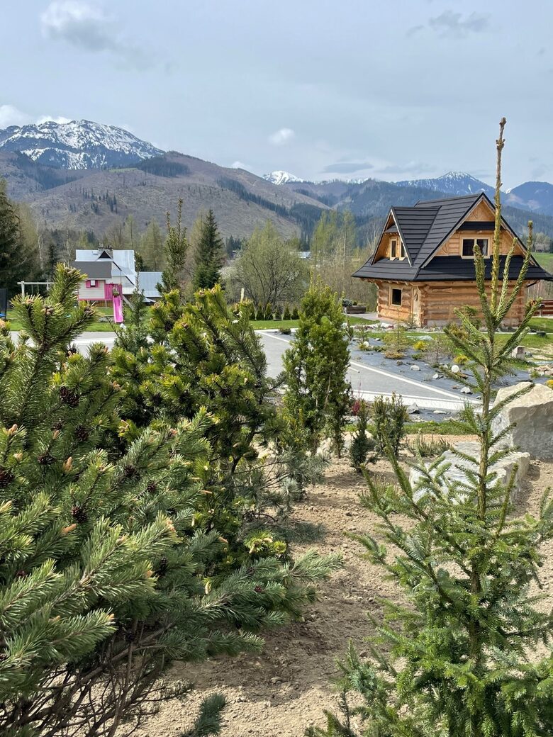 Award-Winning Alpine Sanctuary in Kościelisko - Kościelisko, Poland