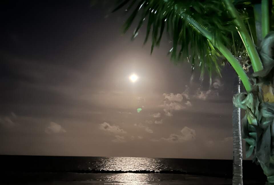 Sea View Residence at Blu Zen Belize Luxury Beach Resort | North Caye Caulker - Caye Caulker, Belize