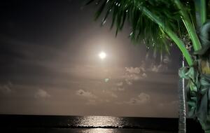 Sea View Residence at Blu Zen Belize Luxury Beach Resort | North Caye Caulker - Caye Caulker, Belize