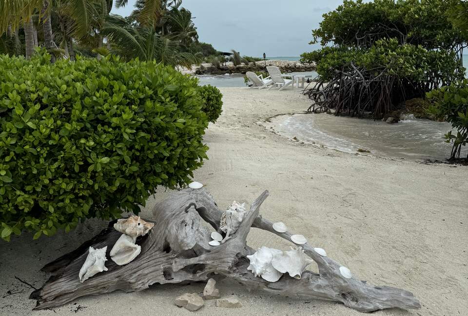 Sea View Residence at Blu Zen Belize Luxury Beach Resort | North Caye Caulker - Caye Caulker, Belize